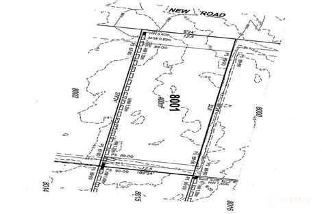 Property photo of 19 Copland Place Spring Mountain QLD 4300