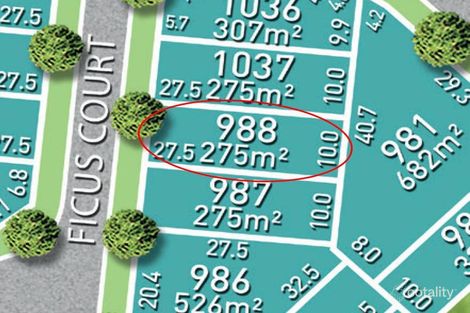 Property photo of 5 Ficus Court Bohle Plains QLD 4817