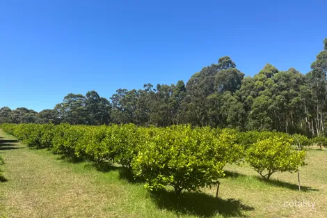 Property photo of 75 Hawke Road Yeagarup WA 6260