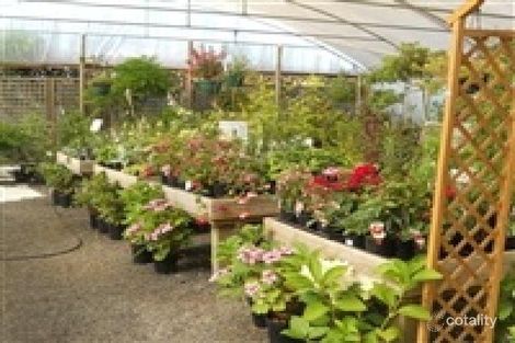 Property photo of 25 Spring Street Sheffield TAS 7306