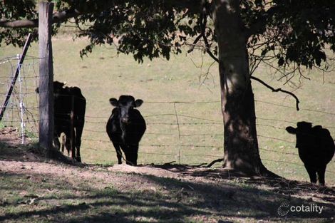 Property photo of 164 Kiel Mountain Road Woombye QLD 4559