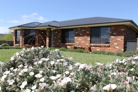 Property photo of 8 Barclay Drive Scottsdale TAS 7260