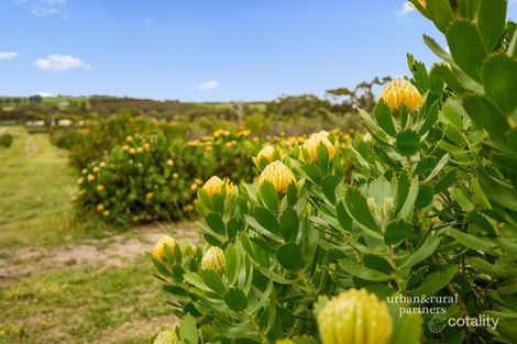 240a Braeside Rd, Finniss, SA 5255