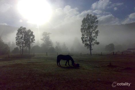 Property photo of 33-39 Thornbird Court Boyland QLD 4275