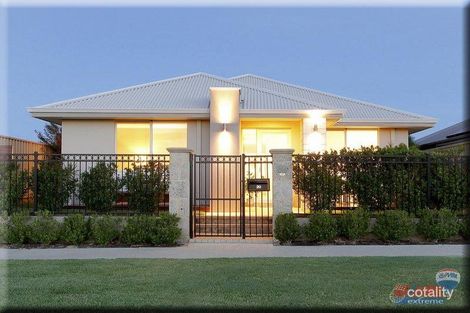 20 Arthog St, Butler, WA 6036