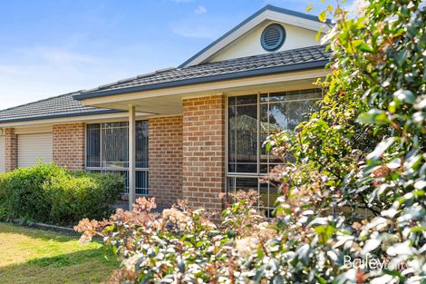 Property photo of 5 Nicholas Conoly Drive Singleton Heights NSW 2330