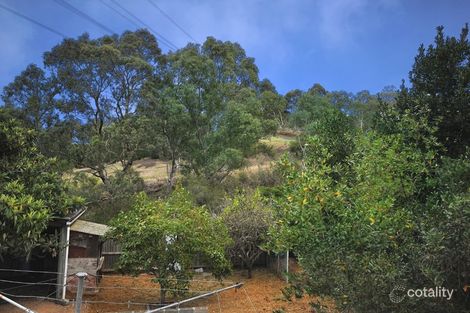 Property photo of 51 Livingstone Street Coburg North VIC 3058