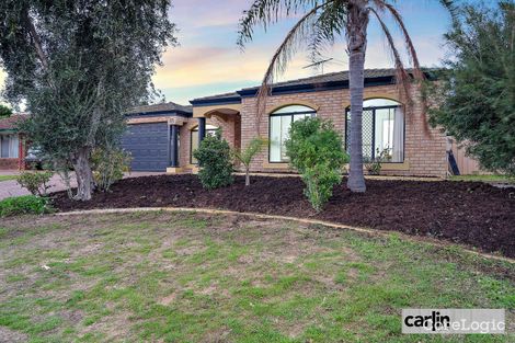 Property photo of 35 Wauhop Circle Beeliar WA 6164