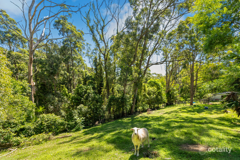 Property photo of 156 The Ridgeway Lisarow NSW 2250