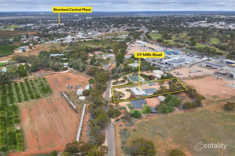 Property photo of 59 Mills Road Berri SA 5343