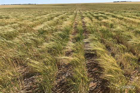 581 Drescher Rd, Borrika, SA 5309