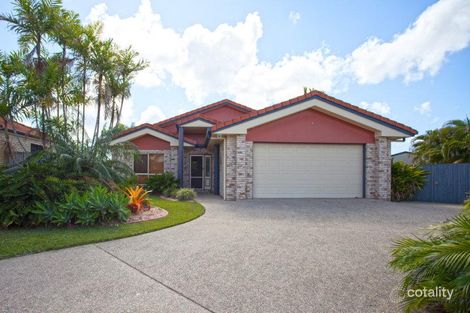 Property photo of 23 Toorak Street Glenella QLD 4740