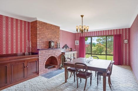 Property photo of 74 Finucanes Lane Bega NSW 2550