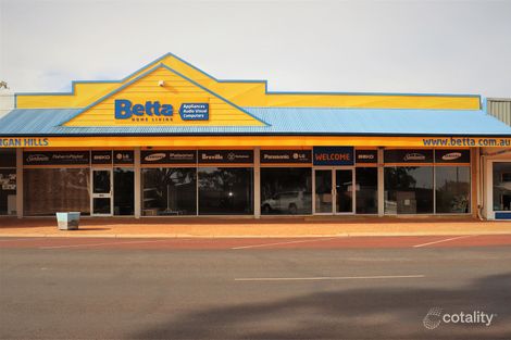 Property photo of 27A Fenton Place Wongan Hills WA 6603
