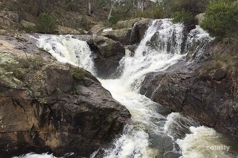 980 Dellicknora Rd, Bonang, VIC 3888