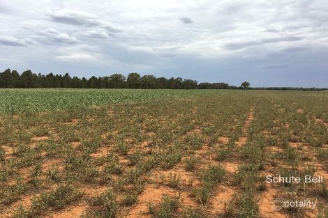 32r Dulcidene Rd, Terramungamine, NSW 2830