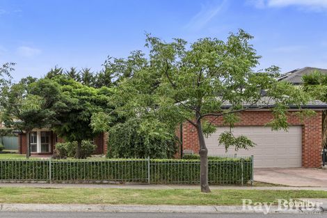 62 Ardlie St, Attwood, VIC 3049