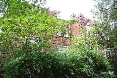 Property photo of 6/347B Edgecliff Road Edgecliff NSW 2027