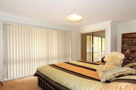 Property photo of 31 Billabirra Crescent Nerang QLD 4211