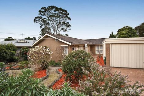 Property photo of 35 Shepherd Road Glen Waverley VIC 3150