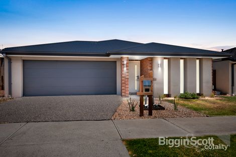 Property photo of 24 Giselle Circuit Greenvale VIC 3059