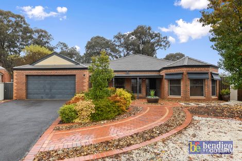 Property photo of 7 Tea-Tree Court Strathdale VIC 3550