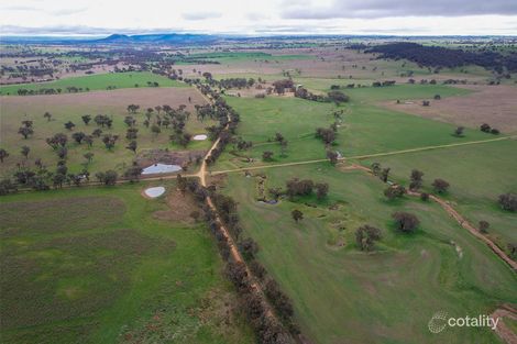 1042 Douglas Gap Rd, Murringo, NSW 2586