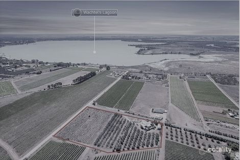 Property photo of 12 Gray Road Moorook SA 5332