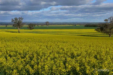 702 Gerrybang Rd, Grenfell, NSW 2810