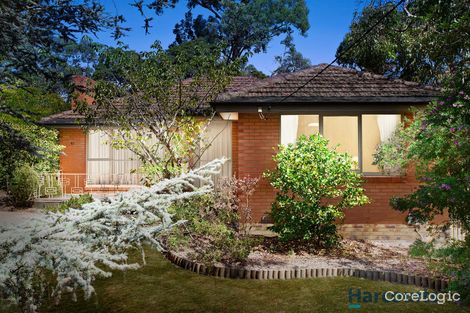 Property photo of 41 Rosalind Crescent Blackburn VIC 3130