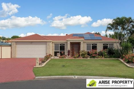 Property photo of 10 Poinciana Place Eight Mile Plains QLD 4113