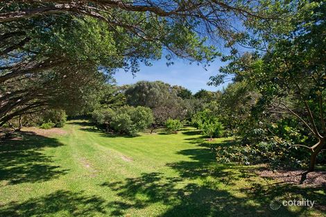 Property photo of 295-301 Dundas Street Rye VIC 3941