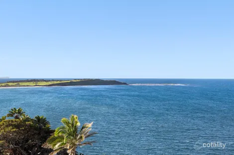 Property photo of 17 Ozone Parade Dee Why NSW 2099