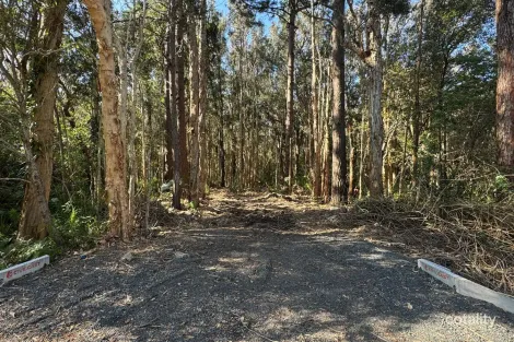 Property photo of 13 Kiora Street Pindimar NSW 2324