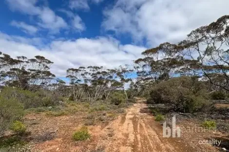 761 Mallee Acres Rd, Fisher, SA 5354