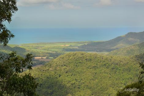 Property photo of 380 Pinnacle Road Julatten QLD 4871