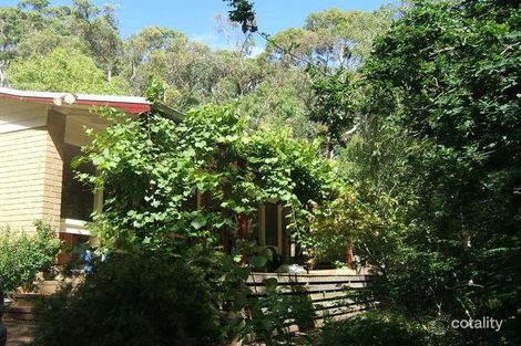 24 Holmes Rd, Red Hill, VIC 3937