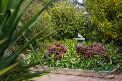 Property photo of 9 Cleary Avenue Mildura VIC 3500