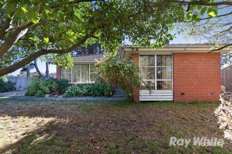 Property photo of 19 Currawong Street Mornington VIC 3931