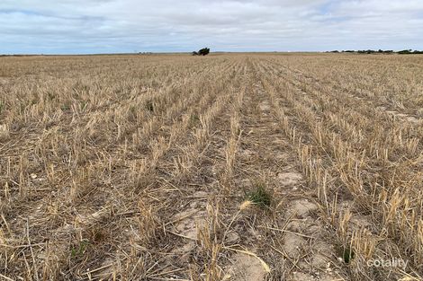 Lot 38 Lincoln Hwy, Port Neill, SA 5604