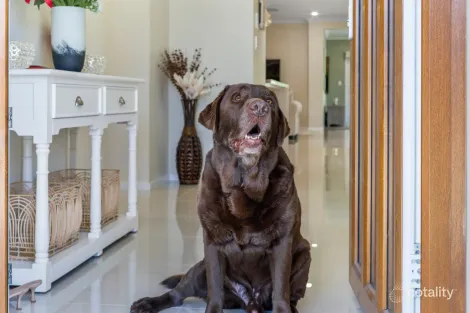 Property photo of 12 Birdwing Crescent Flagstone QLD 4280