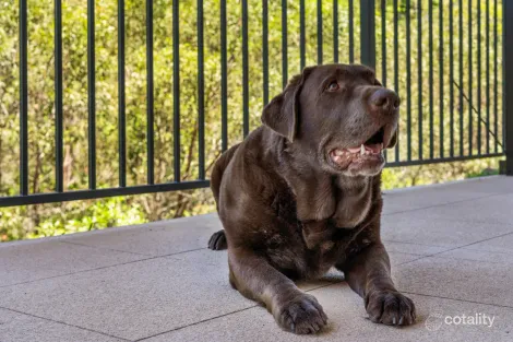 Property photo of 12 Birdwing Crescent Flagstone QLD 4280