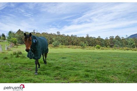 Property photo of 84 Vincents Road Pelverata TAS 7150