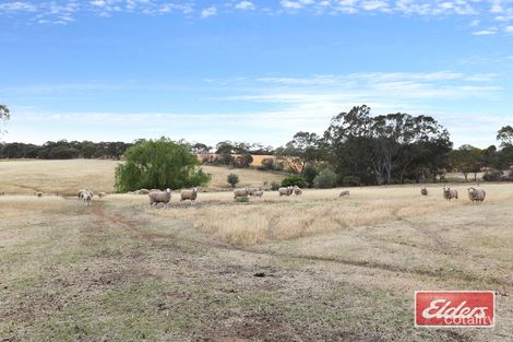 Property photo of 17 Fromm Road Gomersal SA 5352