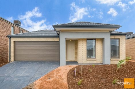 Property photo of 21 Cobble Street Cobblebank VIC 3338