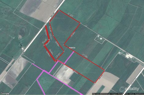 Property photo of 4 Crotons Road Lannercost QLD 4850