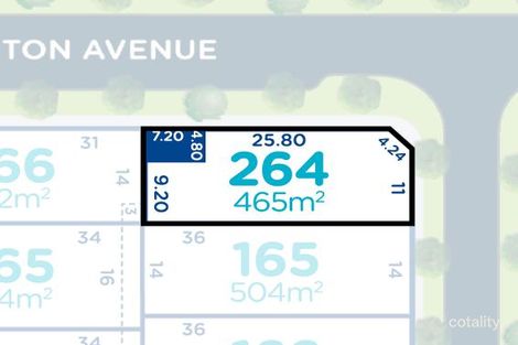 Lot 264 Thornton Ave, St Leonards, VIC 3223