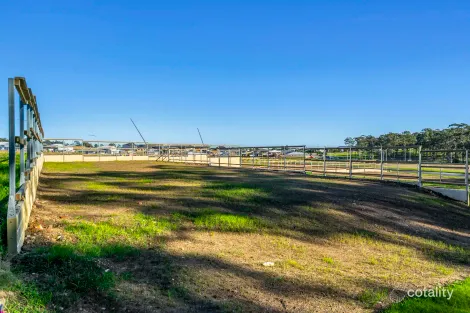 Property photo of 45 Greenling Drive Chisholm NSW 2322
