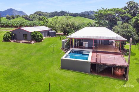369 Utchee Creek Rd, Utchee Creek, QLD 4871