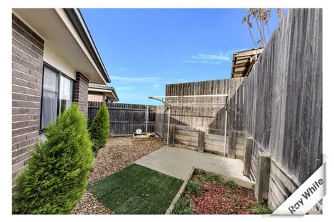 Property photo of 7/24 Constance Stone Street Macgregor ACT 2615